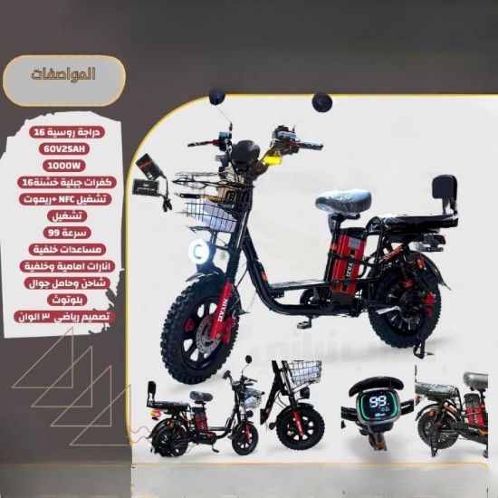 صورة درجة كهربائية CK313